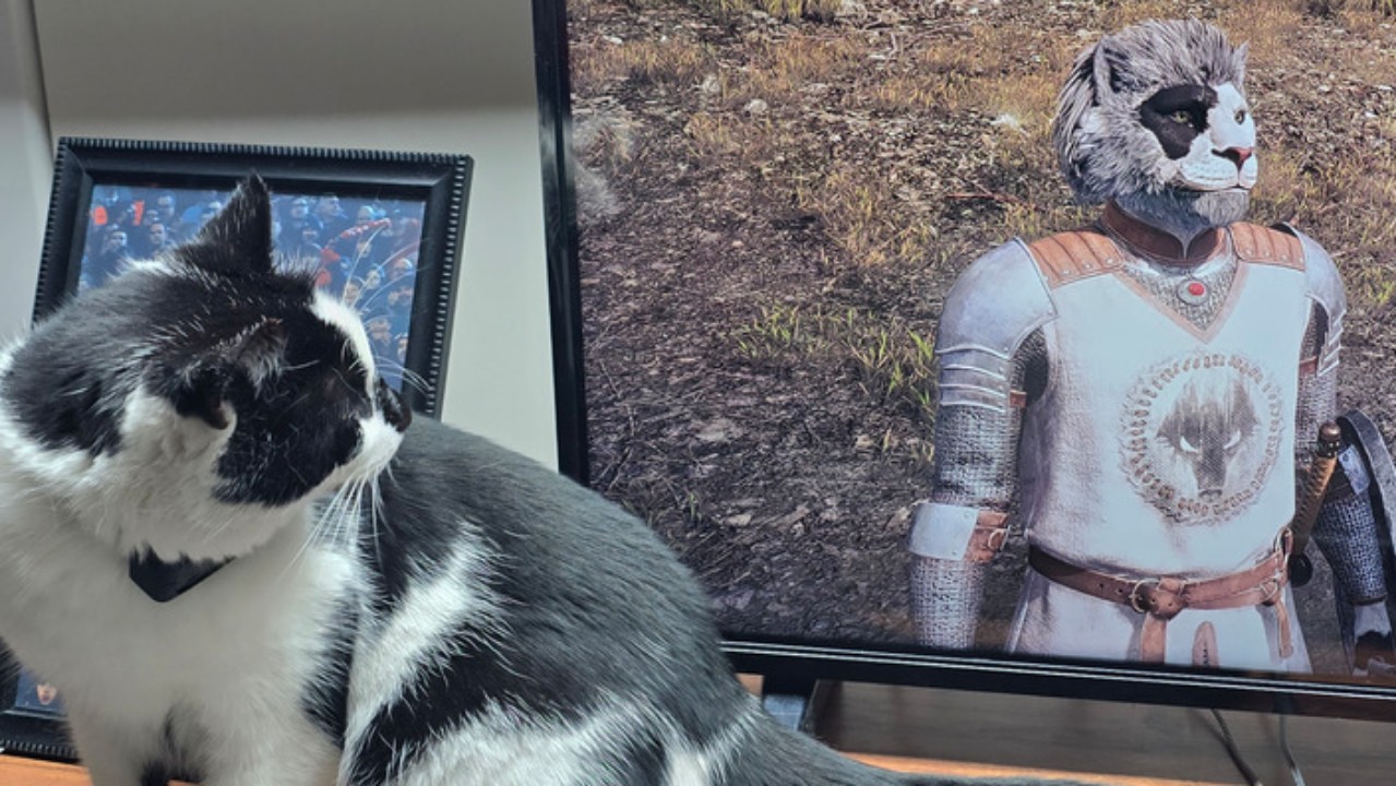 «Мой Каджит — мой кот»: oblivion remastered породил новый милый тренд среди игроков